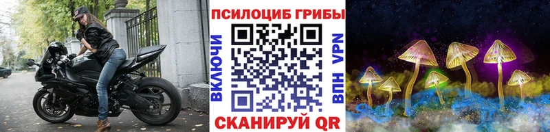 omg онион  Нижняя Салда  Псилоцибиновые грибы Psilocybe 